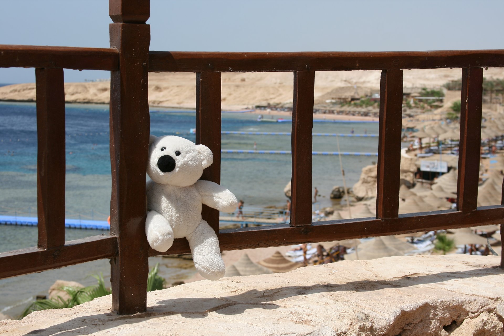 mood teddy bear toys sea egypt sports smile travel