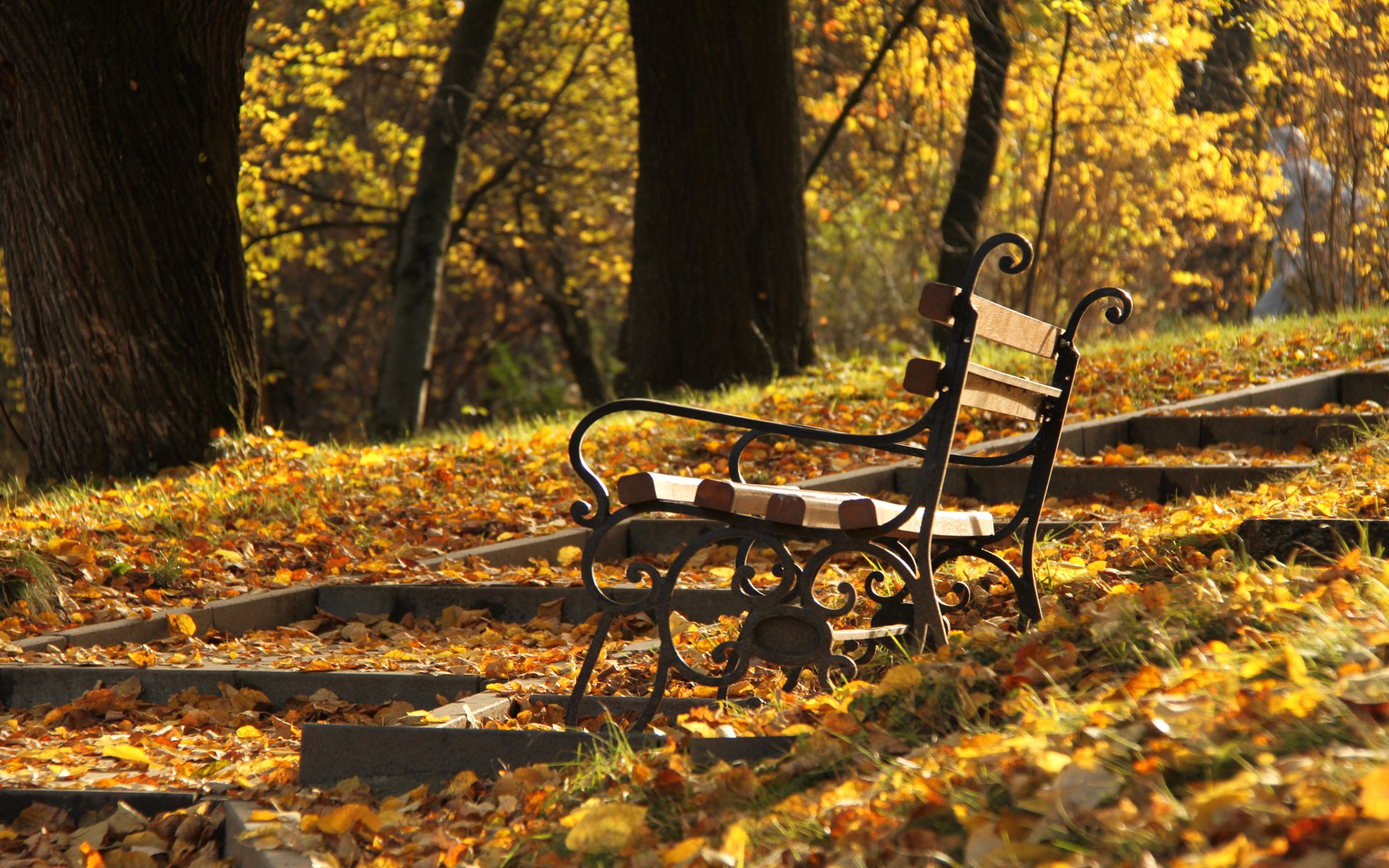 ławka stopnie park jesień słoneczny dzień pora roku opadłe liście zbocze drzewa