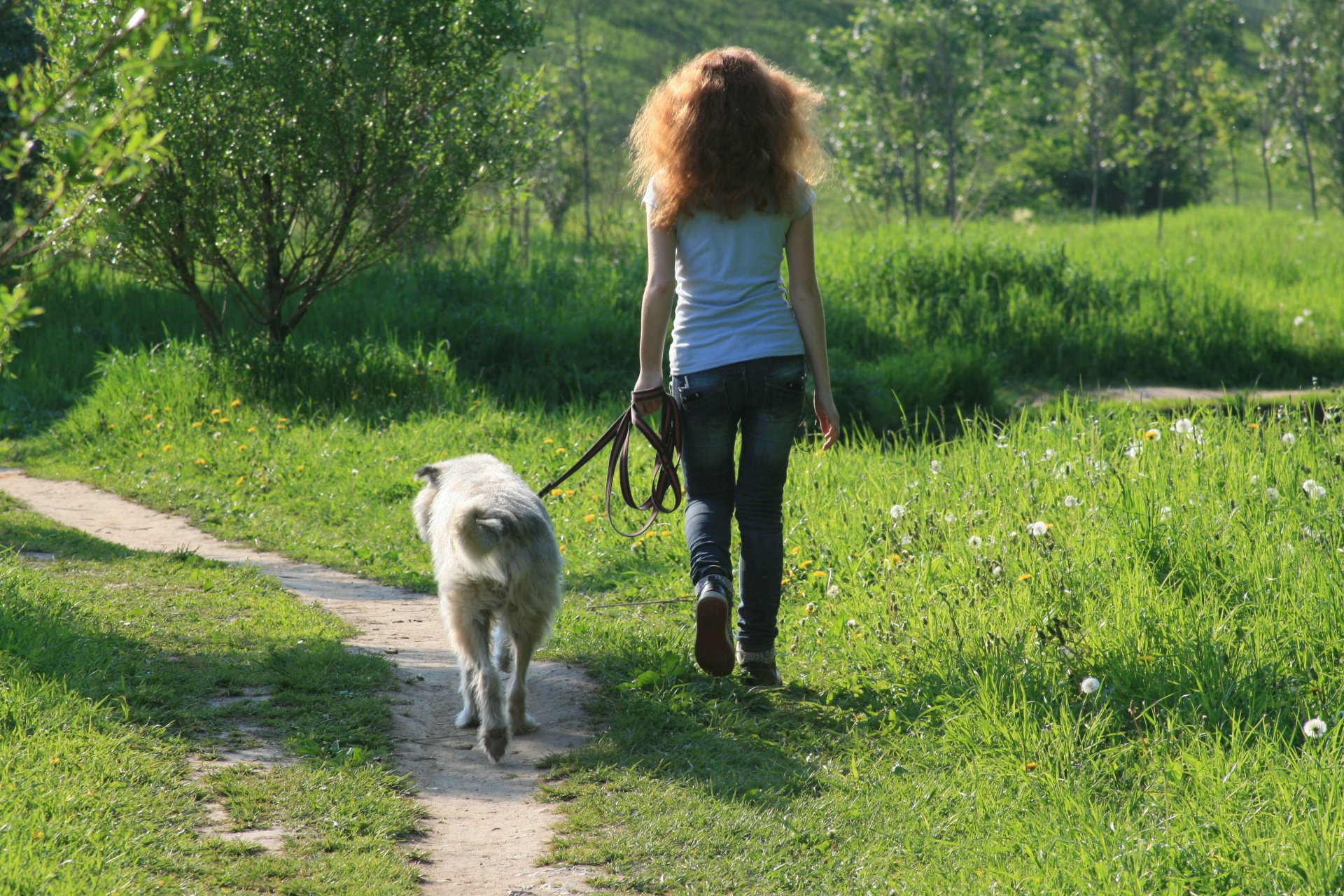 humor caminar chica perro amigos mantenerse al día sonrisa