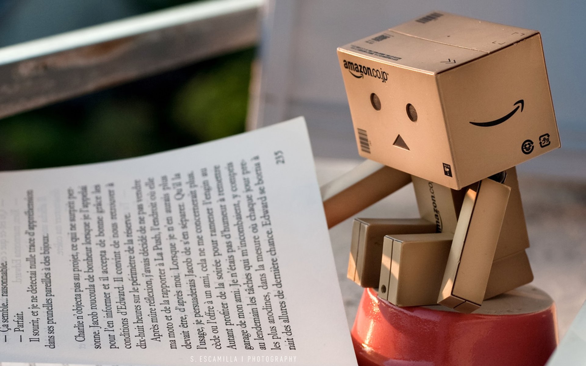 danbo коробочка книжка