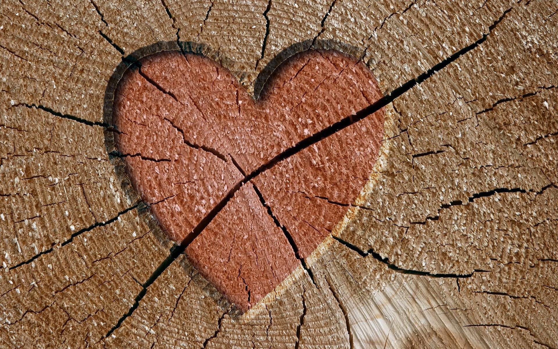 madera grietas corazón