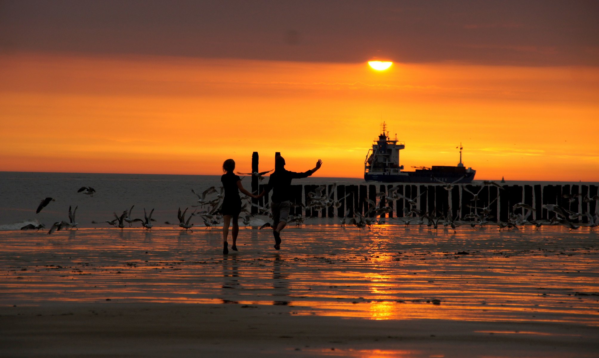 plage coucher de soleil vagues