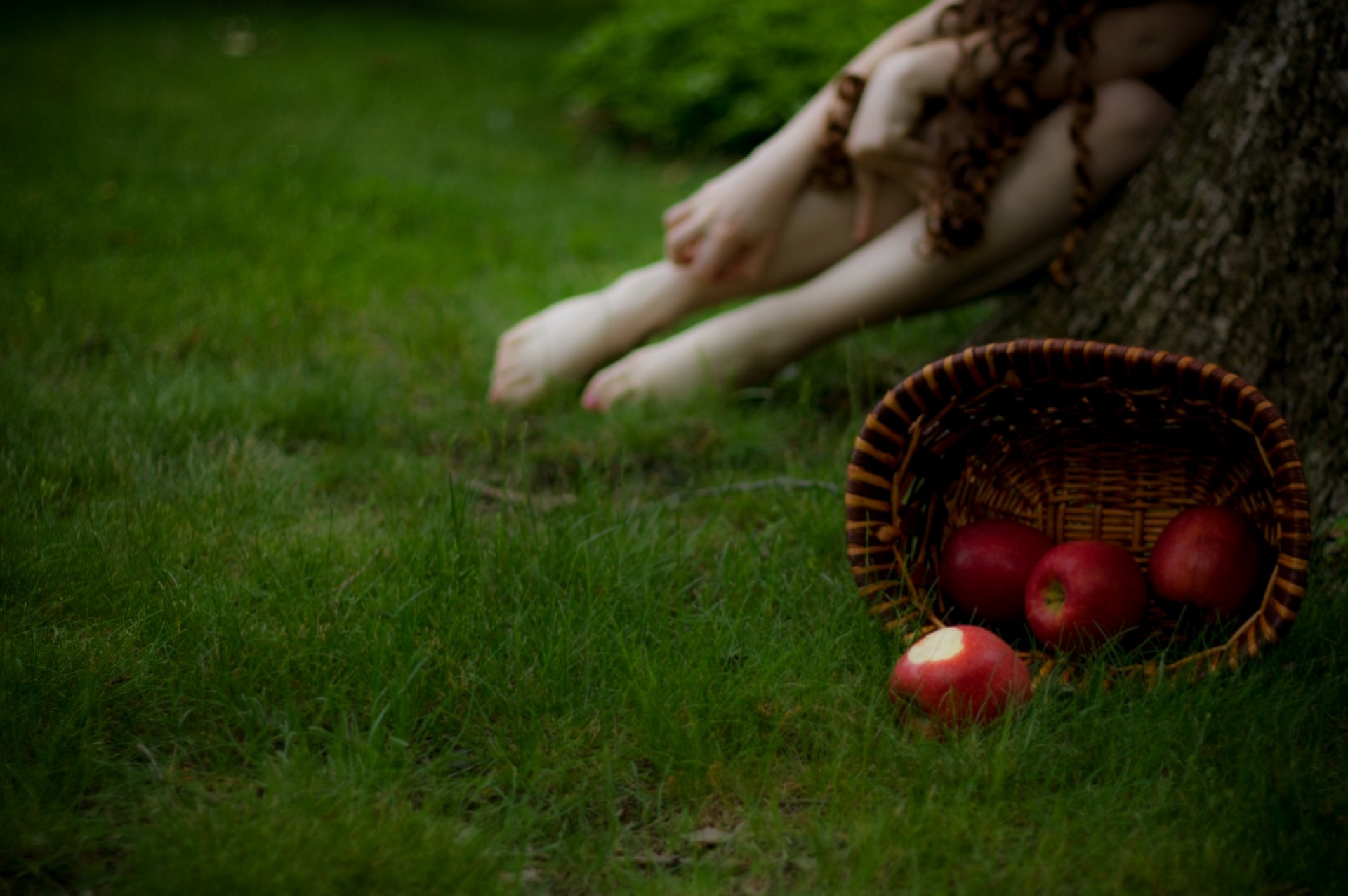 photo close up grass shopping apples background blur girl