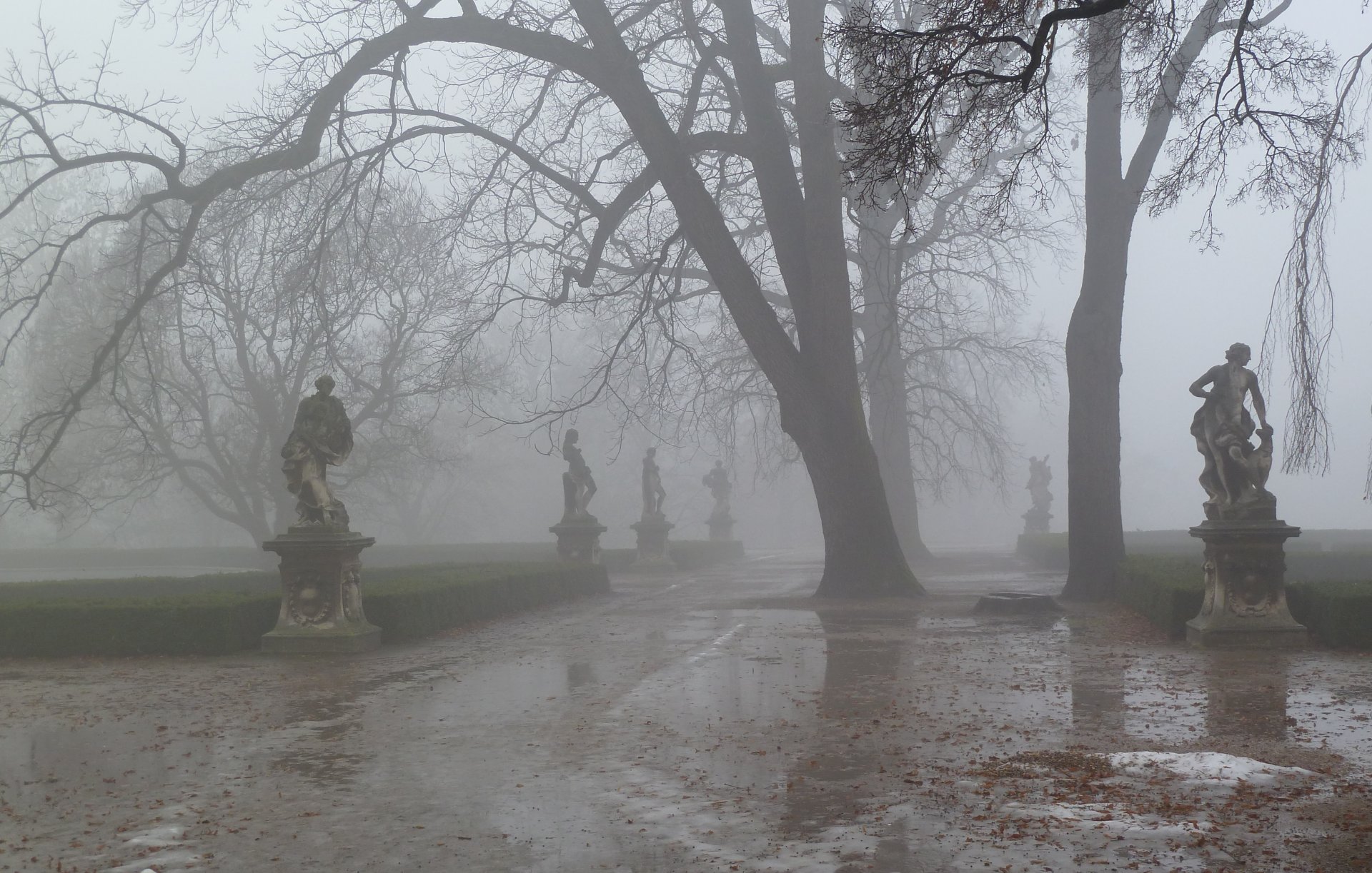 primavera parco fanghiglia nebbia scultura foschia strada