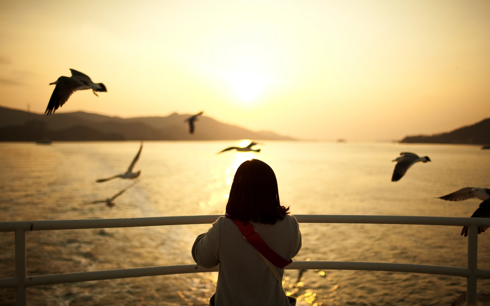 mood gabbiani sera ragazza tramonto acqua uccelli