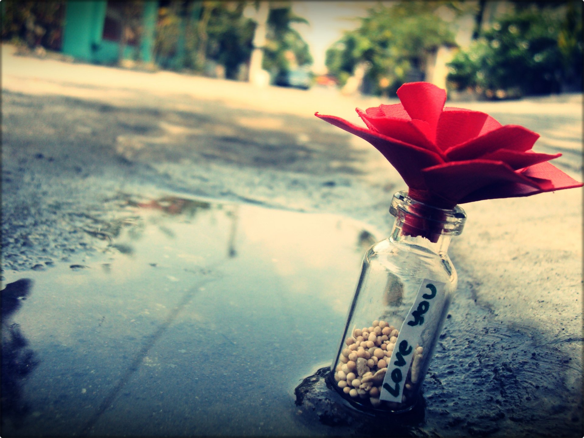 love recognition flower close up a bottle stones note a pool street