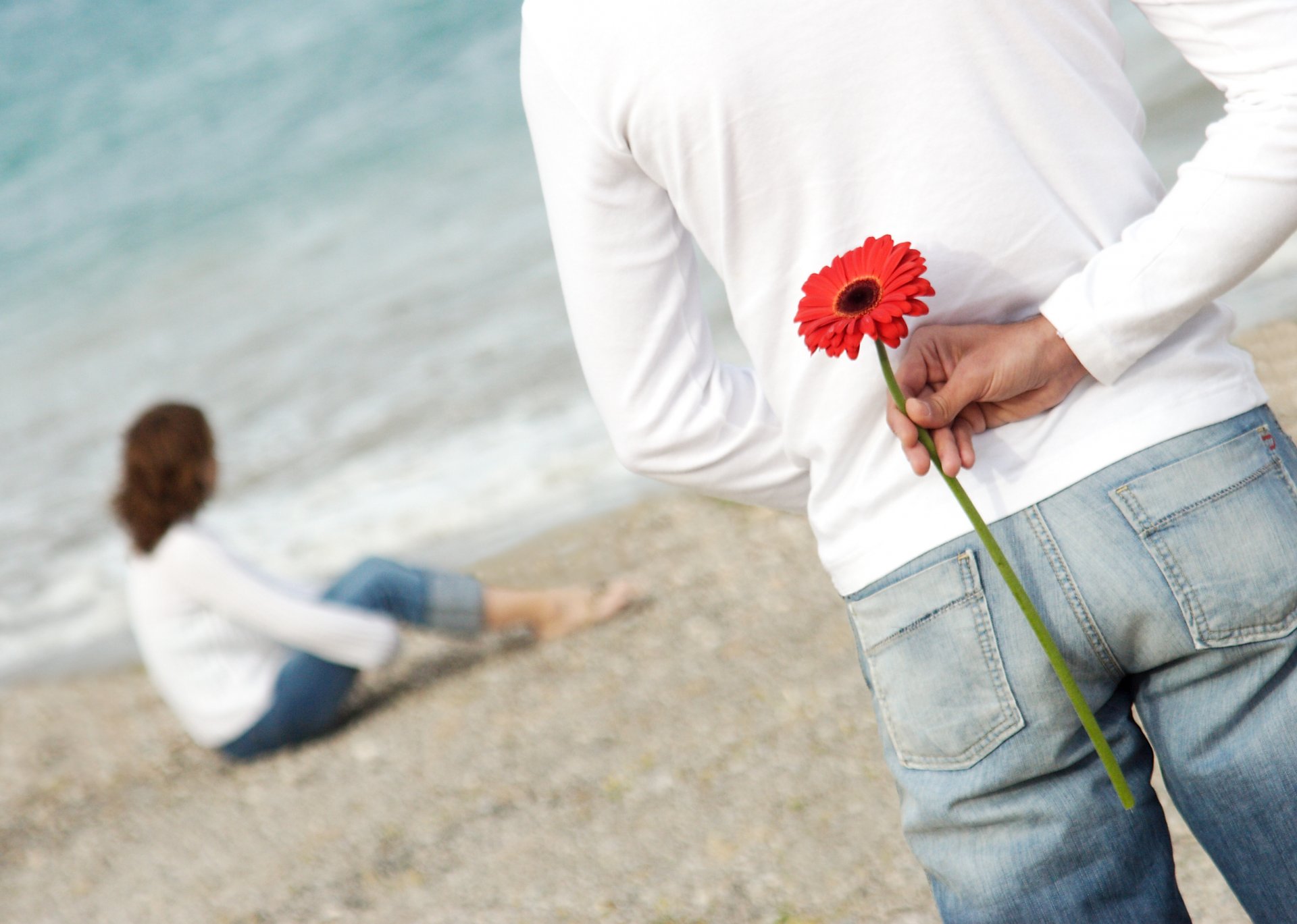 the pair beach flower romance love