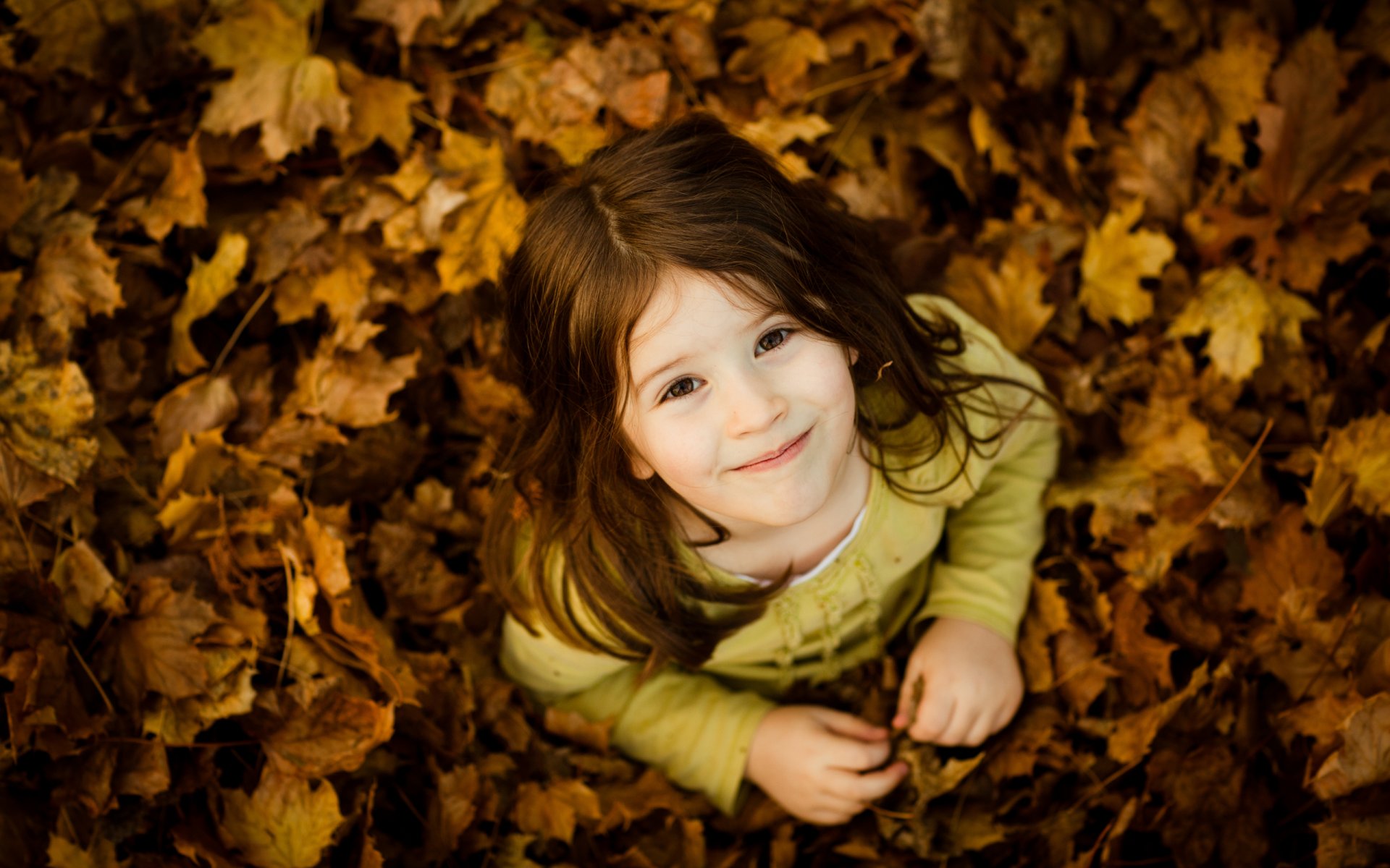 stimmung kinder stimmung lächeln lächeln mädchen mädchen kleinkinder herbst