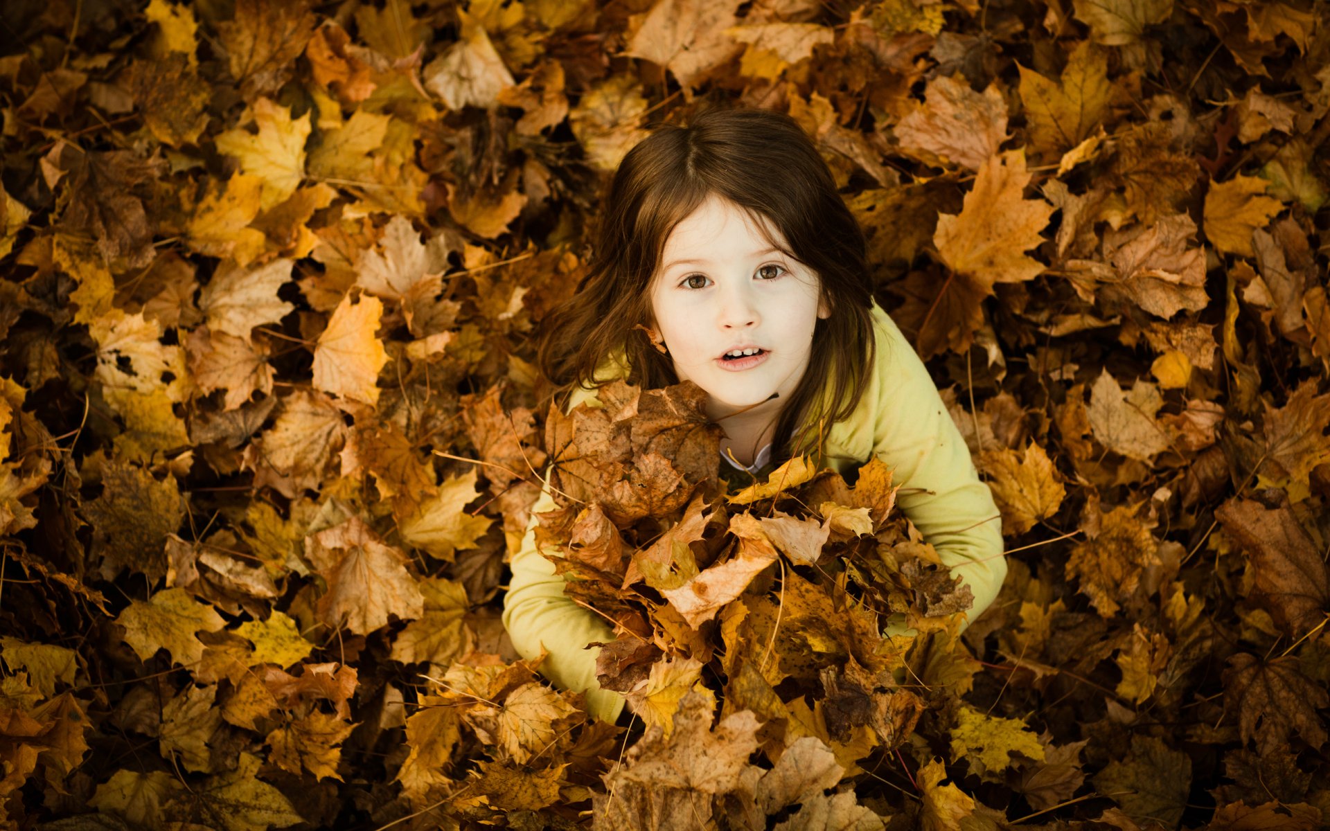 kinder mädchen mädchen kinder stimmung stimmung aurelia foto herbst blätter lächeln lächeln laub schönheit schöne baby schönheit schönheiten