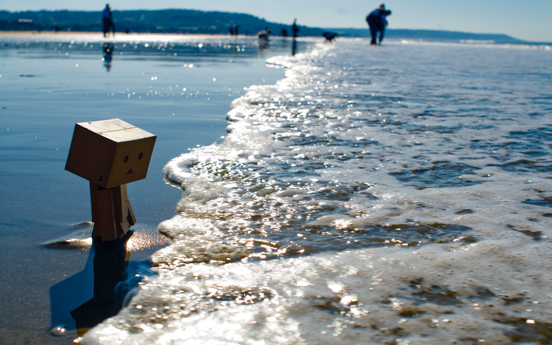 danbo petite boîte côte plage marée