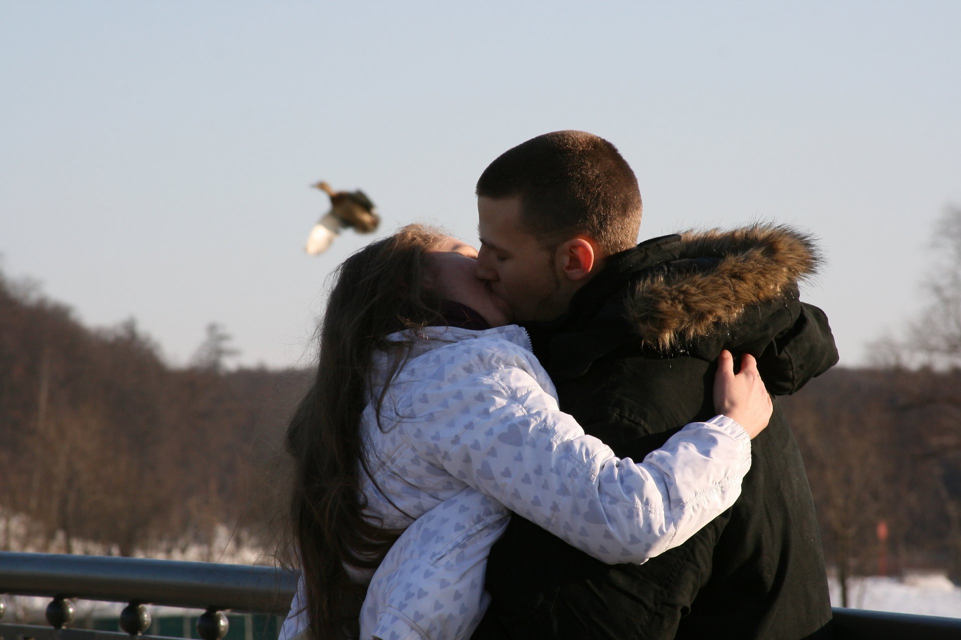 stimmung freund mädchen heißer kuss liebe paar