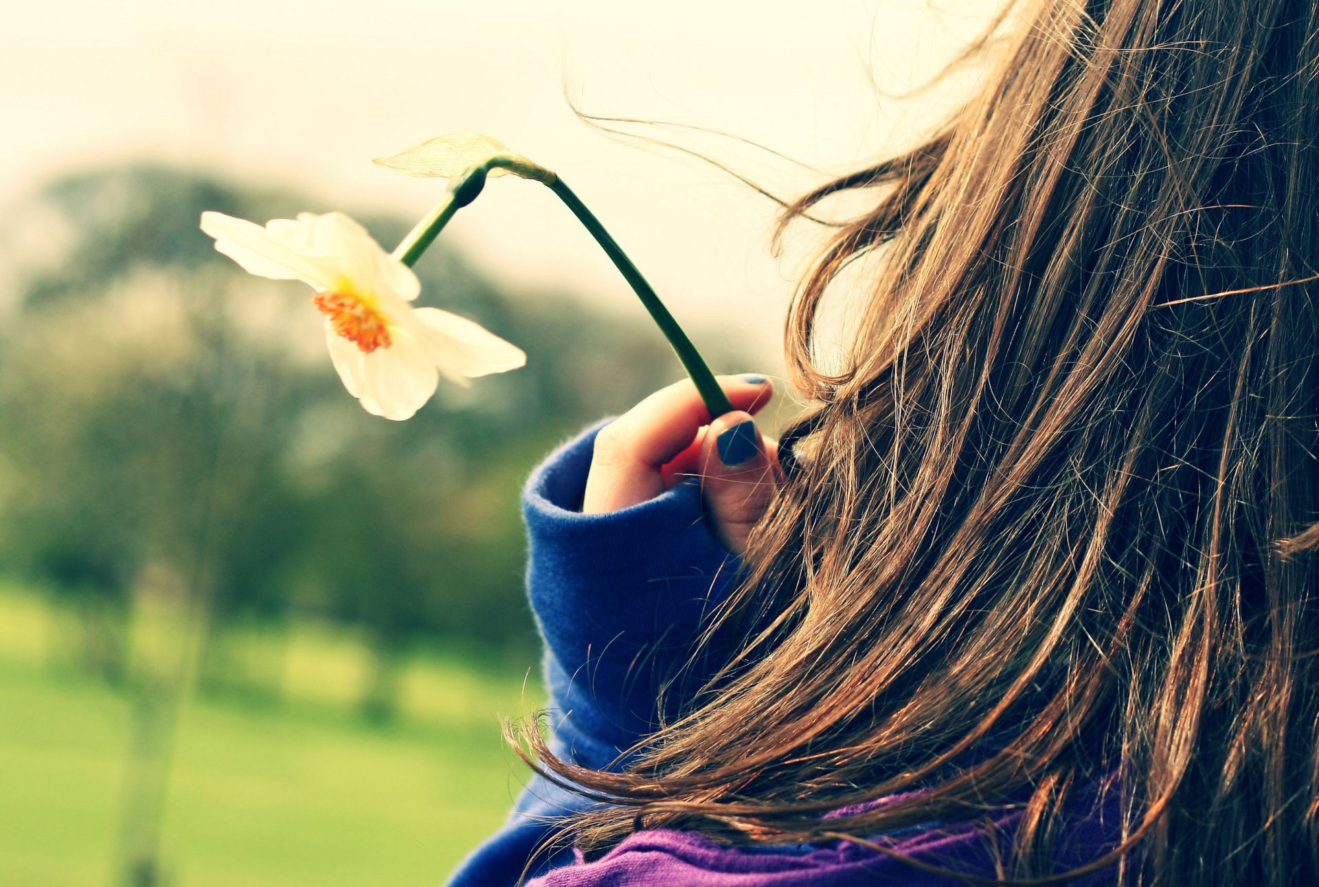 estados de ánimo estado de ánimo chica chicas paseo frescura cabello romance flores narcisos ropa ternura