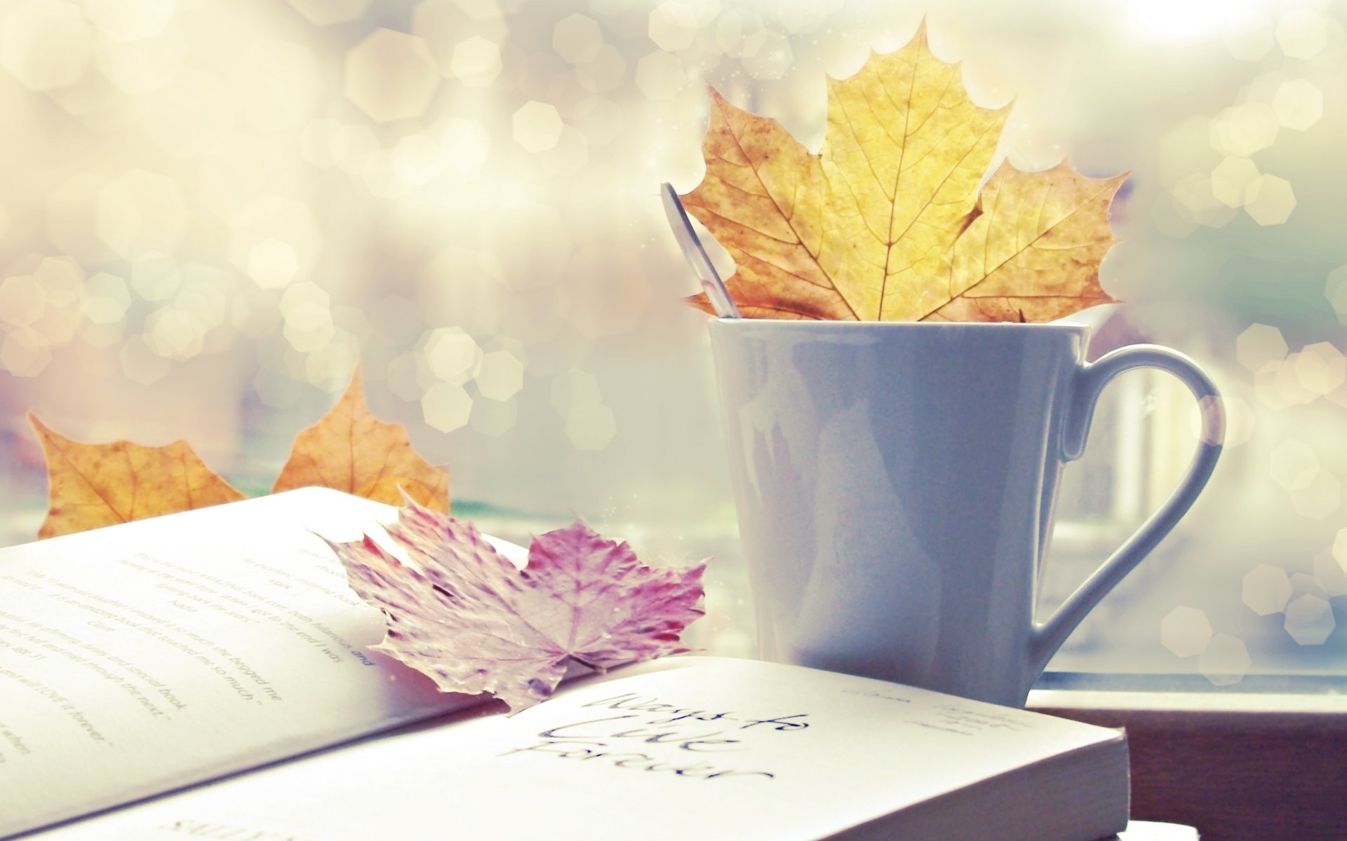 herbst blätter tasse buch bokeh