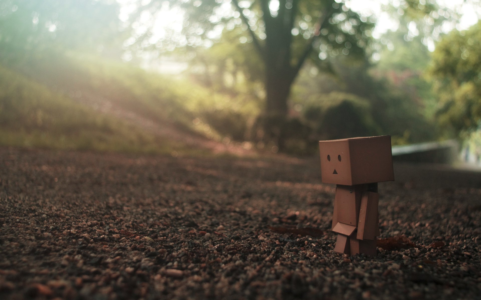 danbo erde straße blick traurigkeit eins makro