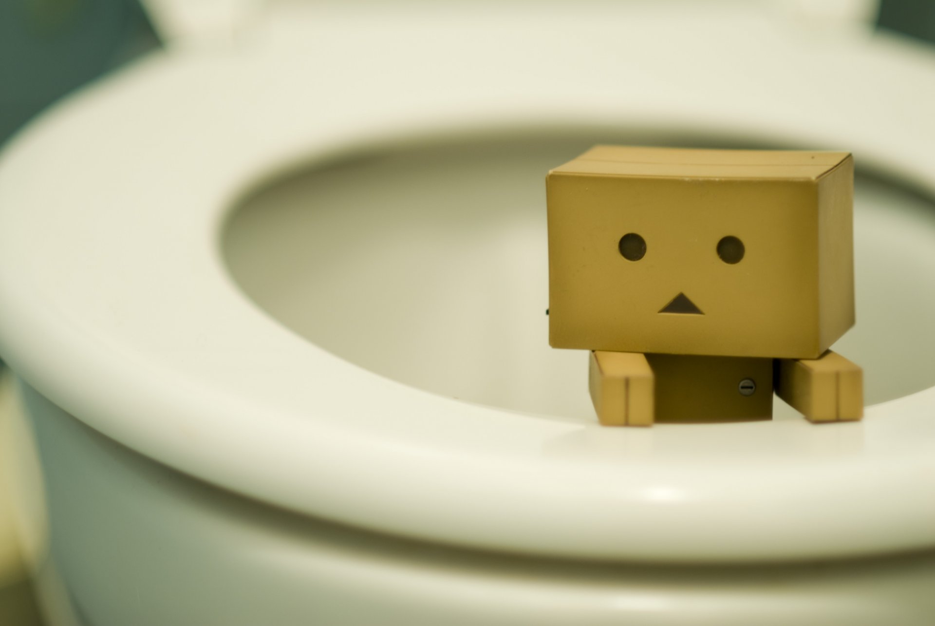 danbo box figur toilette toilette not