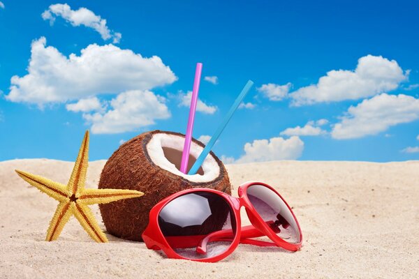 Étoile de mer et noix de coco sur vacances plage blanche