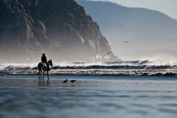 Mann auf einem Pferd am Meer und den Bergen