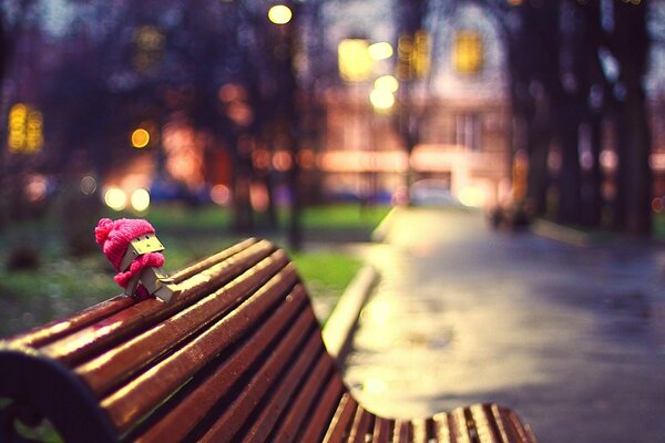 An empty bench in the evening in the city