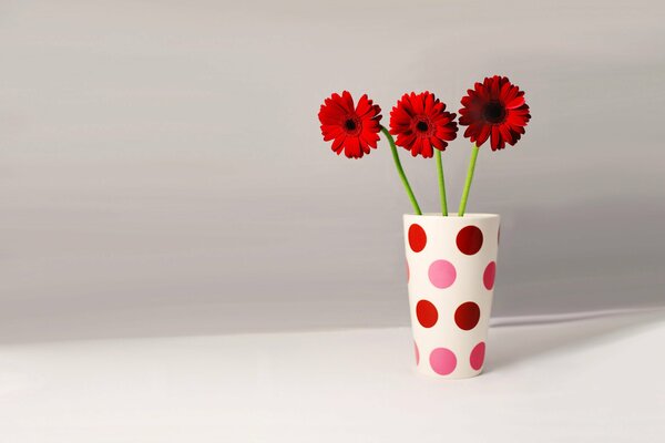 Gerberas in a vase with peas