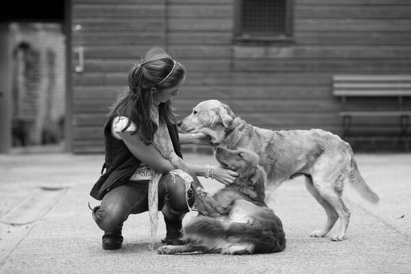 Chica juega con los perros devoción