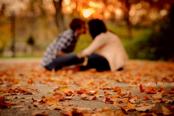 Влюбленная пара сидит на осенней листве
