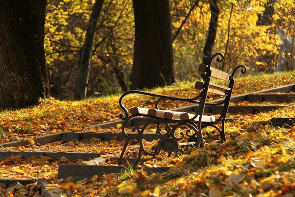 A bench next to the stairs in the autumn park