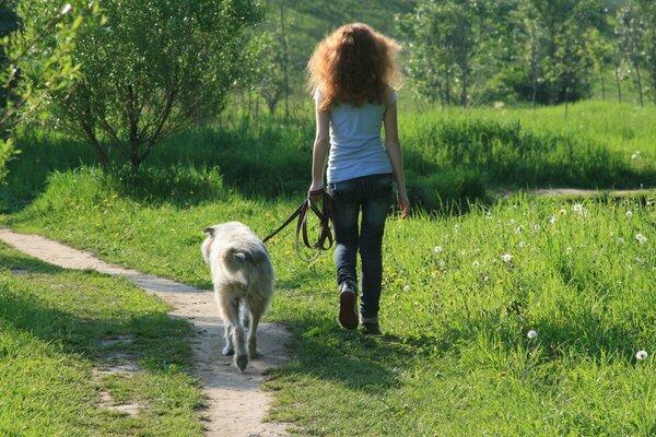 Fille avec un chien. Marcher dans la forêt