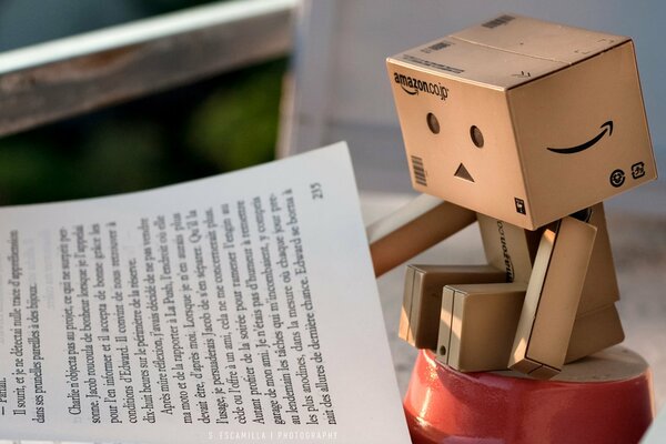 El hombre de las cajas danbo