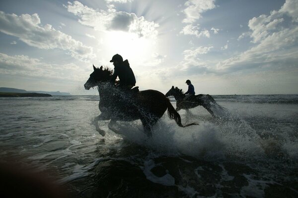 I cavalieri a cavallo galoppano sull acqua