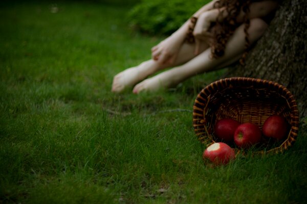 Ragazza con il cestino e le mele sull erba