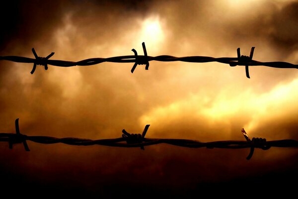 Barbed wire against a gloomy sky