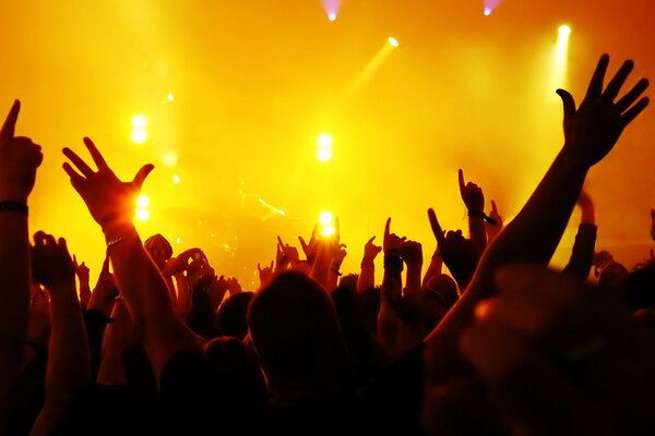 The audience at the concert enthusiastically waves their hands