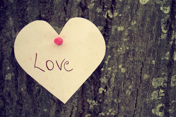 The heart of love on a tree