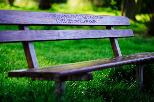 Banc tranquille dans l herbe