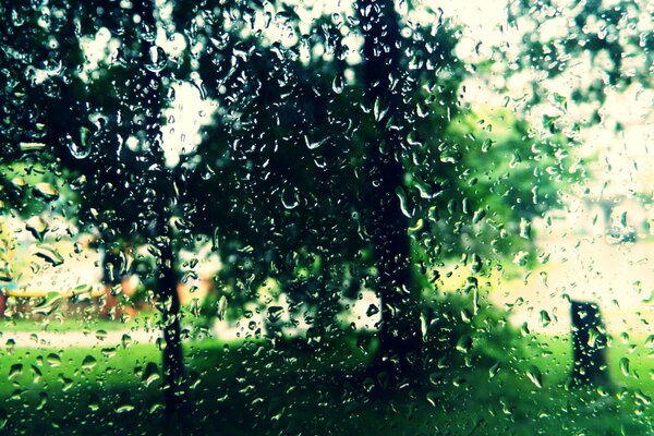 Gotas de lluvia en el cristal en verano