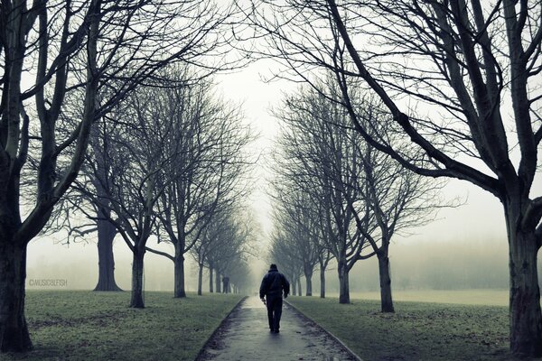 The mood of loneliness is autumn walks in the fog along the road, along which the bare branches of trees hang heavily