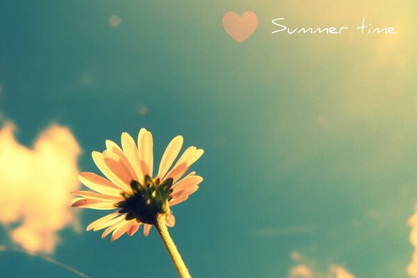 The summer time of the year is the most favorite for everyone