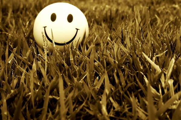 Smiley se trouve sur l herbe