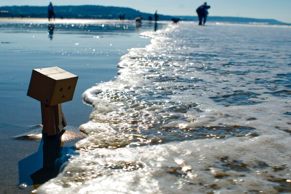 Belle image de la pêche en mer