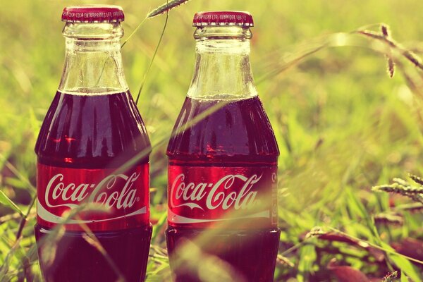 Coca-Cola bottles on the grass