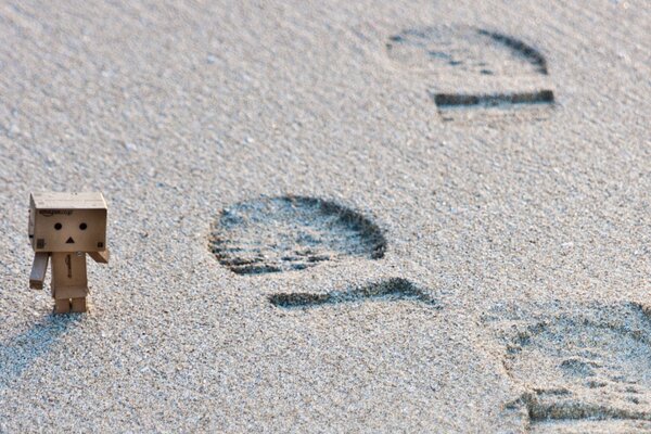 Danbo explores footprints in the beach sand