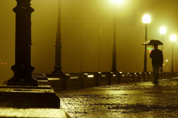 Noche en un enorme paseo lluvioso solo