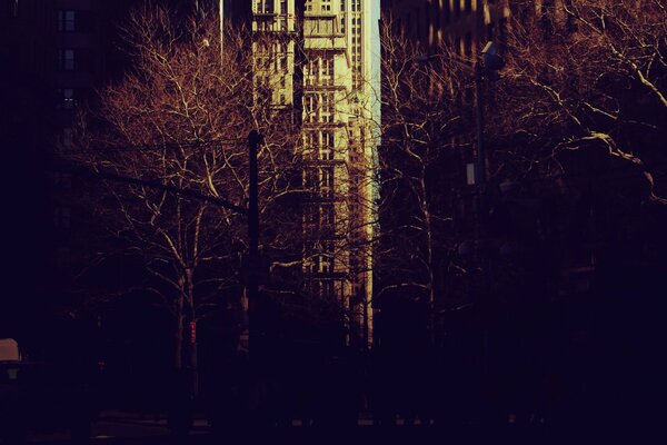 A street among high-rise buildings