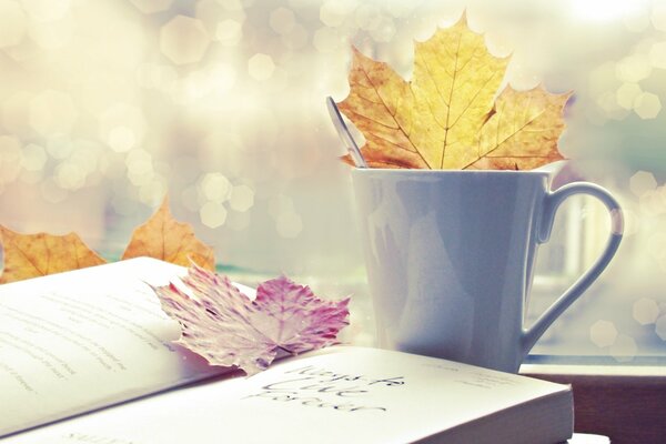 Feuille d érable dans une tasse