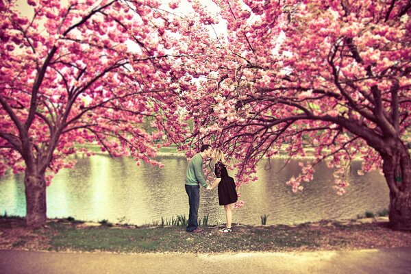 A kiss in nature in the trees