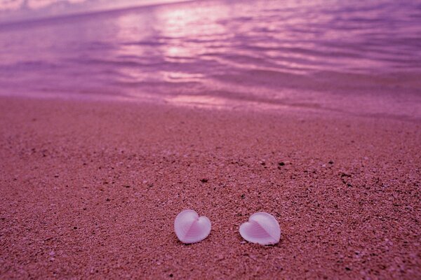 Zwei Herzen aus rosa Muscheln am Meer