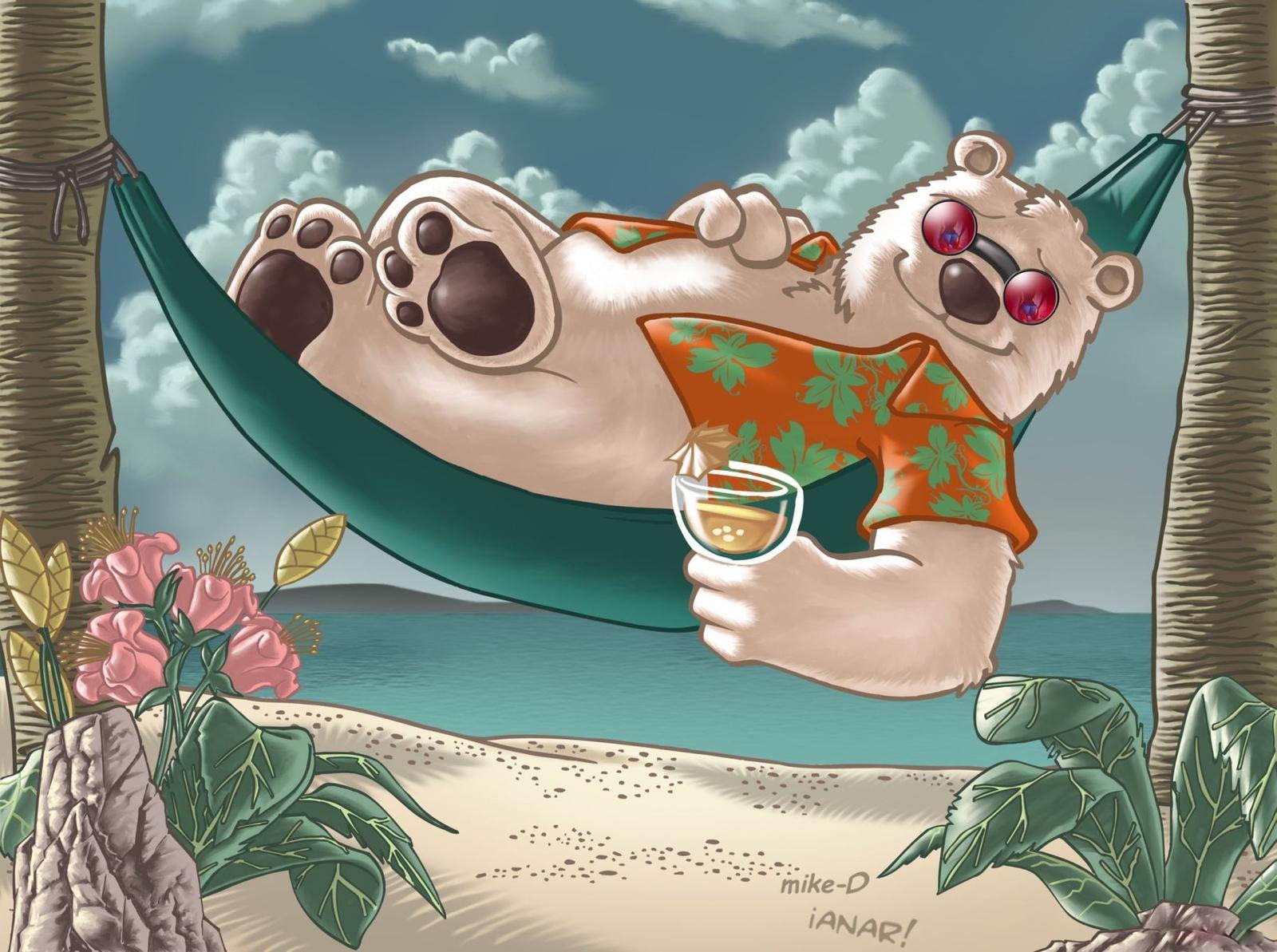 bear sea sun sand cocktail