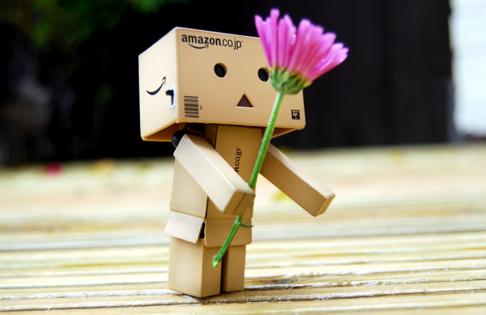 danboard danbo boîte robot jouet fleur cadeau