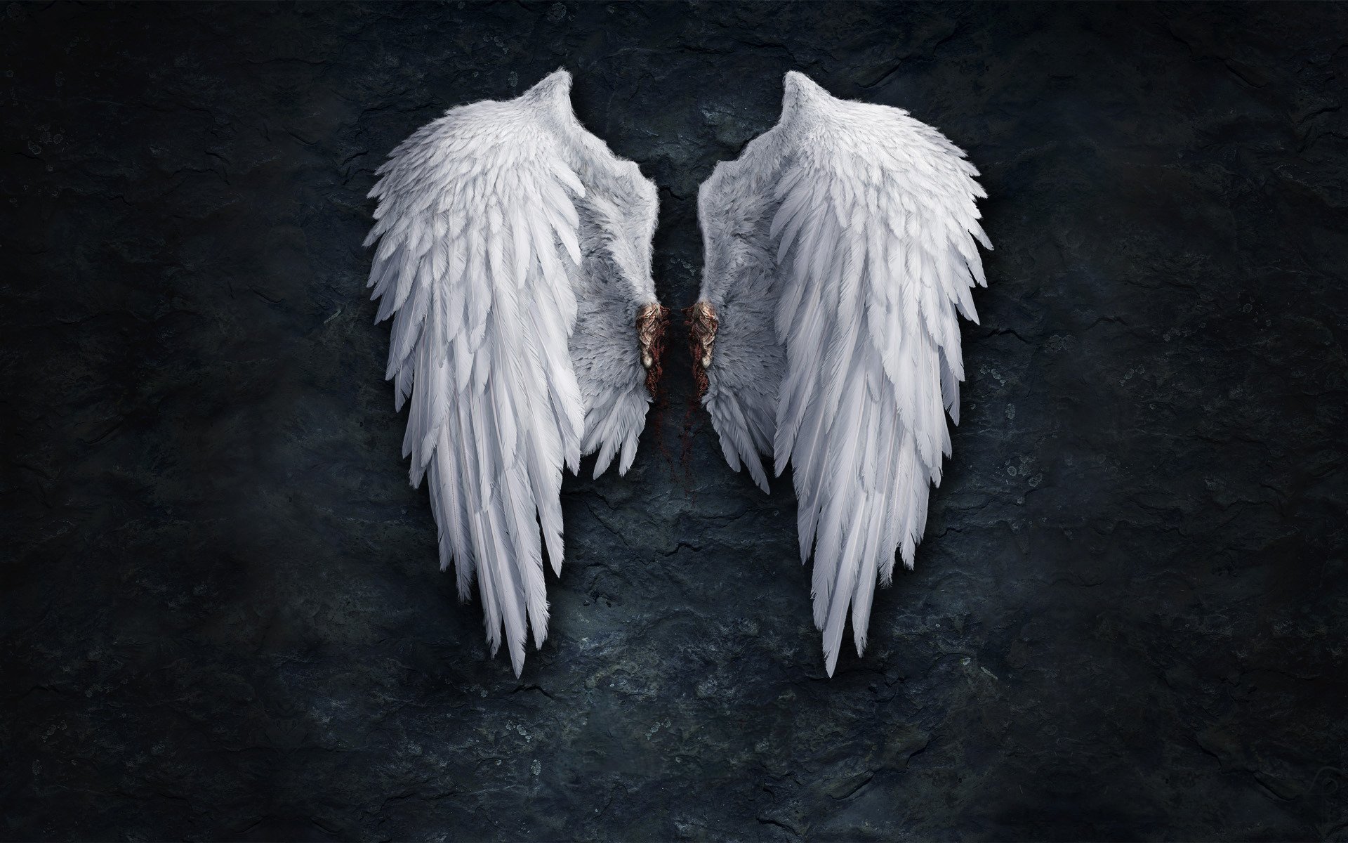 wings wall blood feather