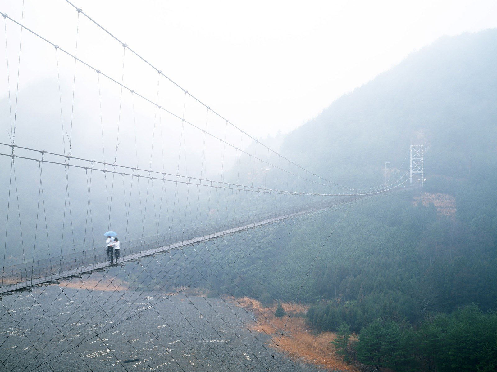 brücke hängend ufer